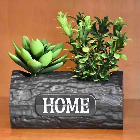 Apartman Jim House *